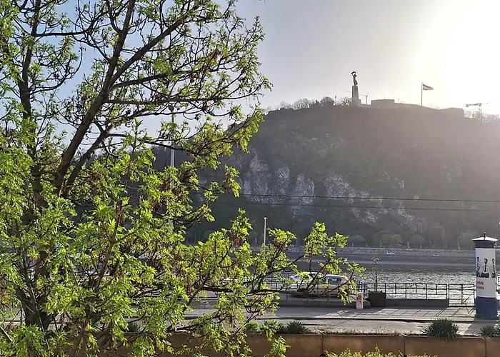 Danube View